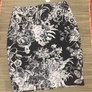 Ann Taylor Loft Curvy Pencil Skirt - M112